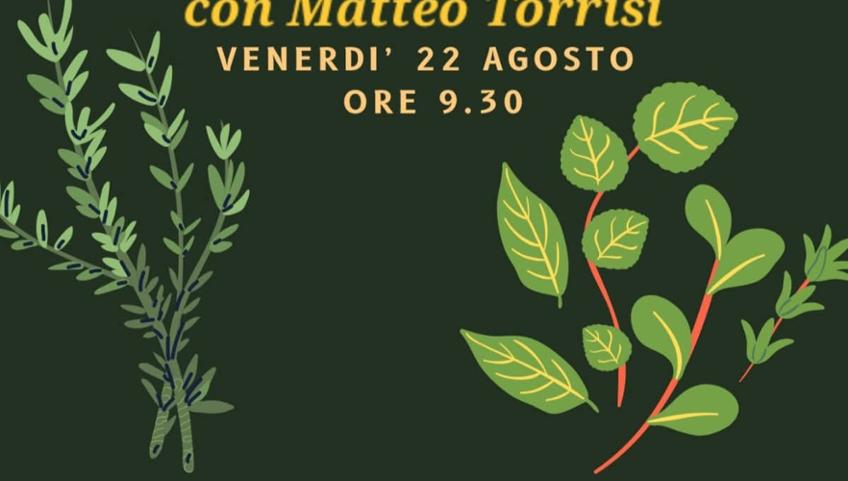 CONOSCIAMO LE ERBE